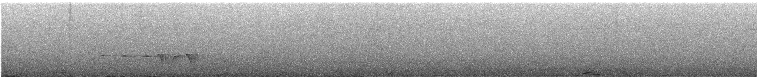 Gray-bellied Tesia - ML609060461