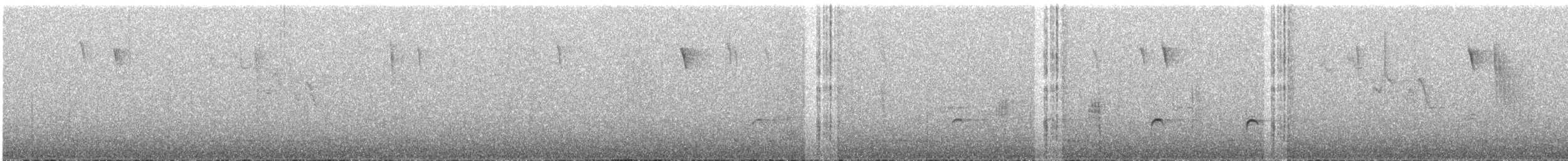 Orite de Blyth (bonvaloti/obscuratus) - ML609060470