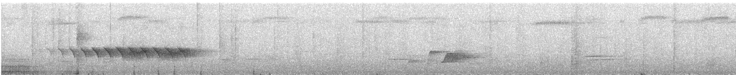 オオヒメコノハドリ - ML609060474