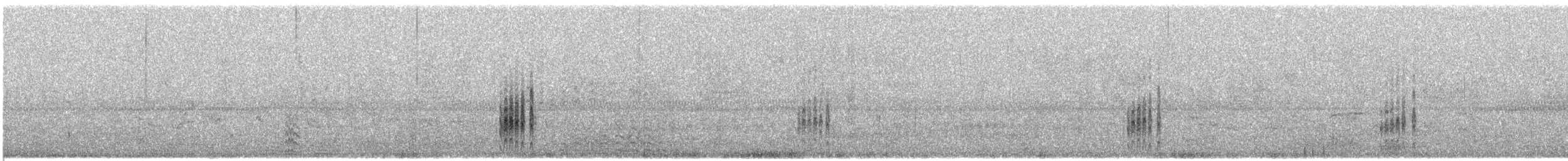 ハジロクロハラアジサシ - ML609060596