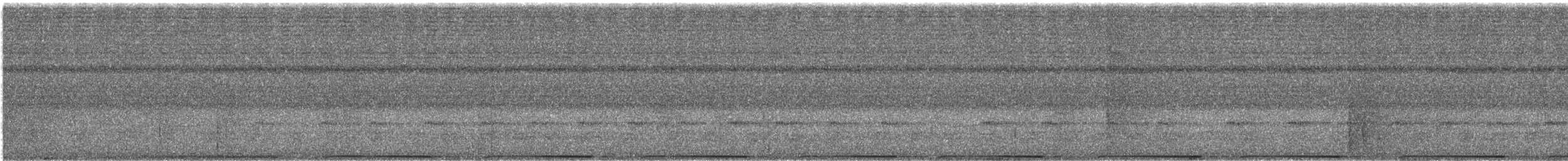 Afep Pigeon - ML609060678