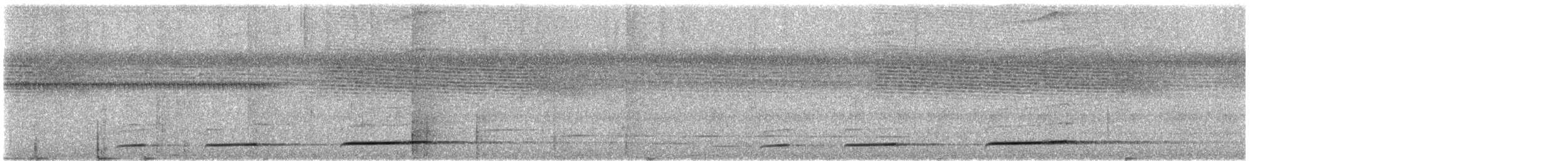 Black Cuckoo (Rufous-throated) - ML609060680