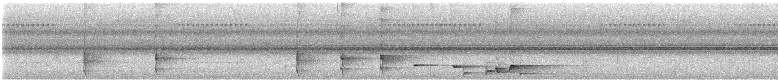 Western Nicator - ML609060690