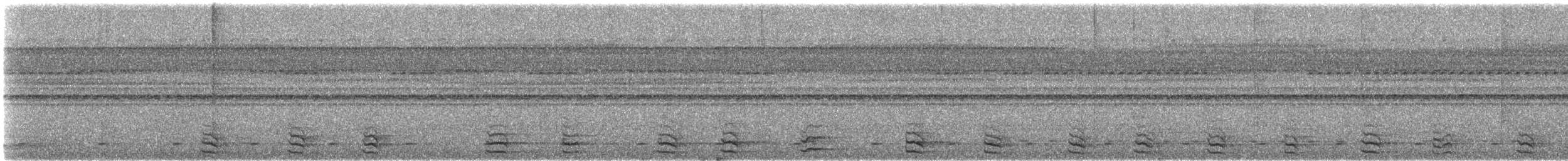 Western Nicator - ML609060691