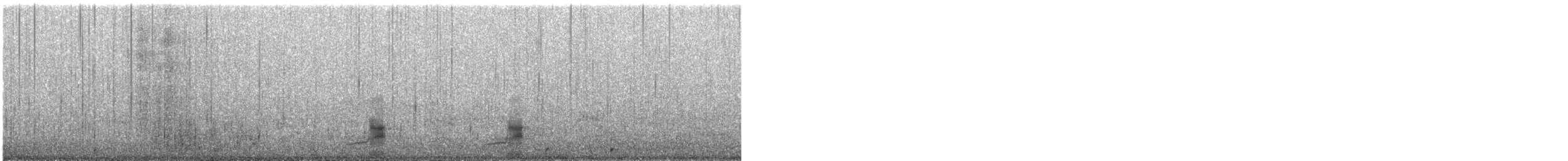 Schnatterente - ML609060955