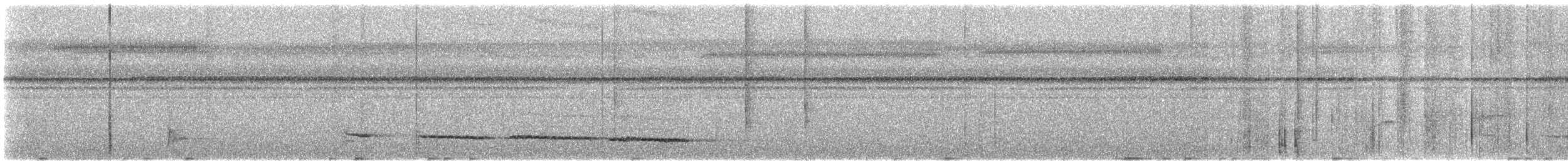 Red-tailed Bristlebill - ML609061065