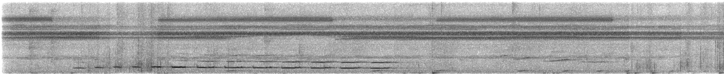 Red-billed Dwarf Hornbill - ML609061066