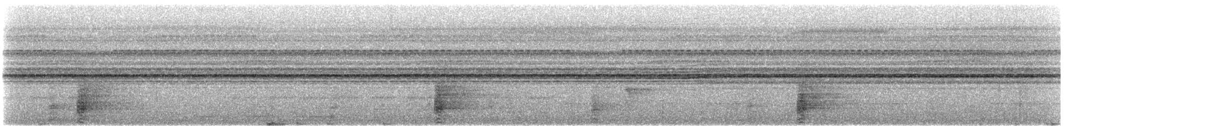 White-thighed Hornbill - ML609061067