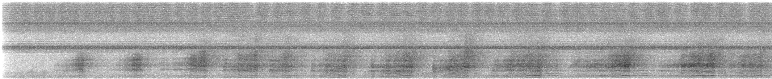 White-thighed Hornbill - ML609061068