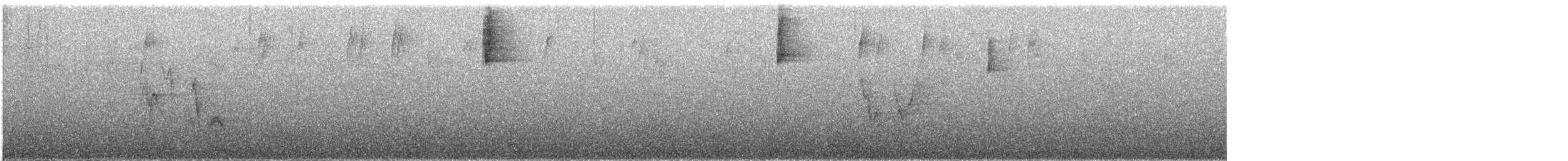 Віреон коста-риканський - ML609061636