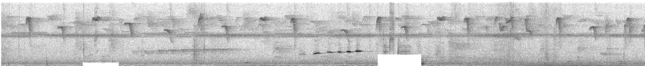 Пестрогорлый колибри-отшельник - ML609061755