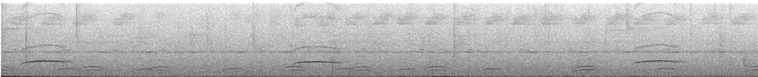 mørkhettetyrann (lawrenceii gr.) - ML609061797