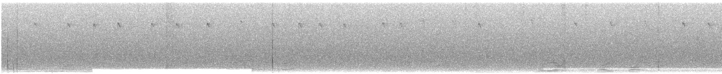 Чернобрюхая эферуса - ML609061808