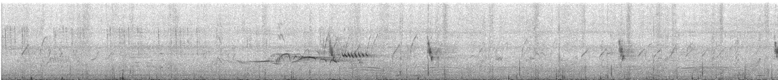 blåtrost (philippensis) - ML609062034
