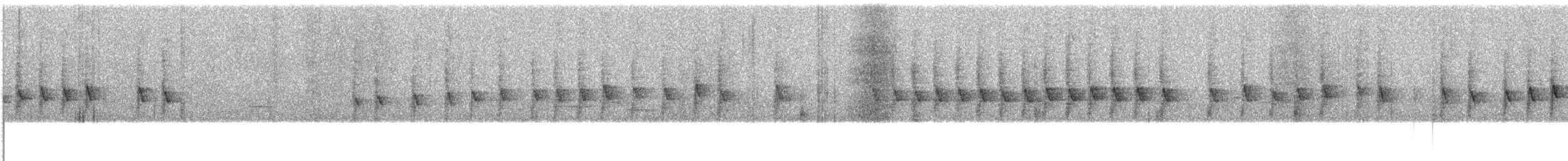 Glanzflügel-Nektarvogel (Luzonnektarvogel) - ML609062043