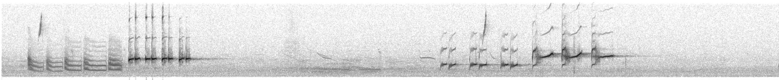 Band-tailed Seedeater - ML609062044
