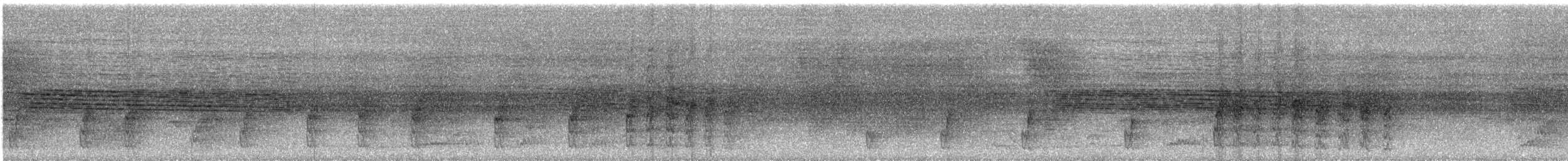 Turuncu Göğüslü Trogon [dulitensis grubu] - ML609062098