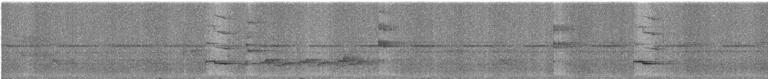 Silver-breasted Broadbill - ML609062116