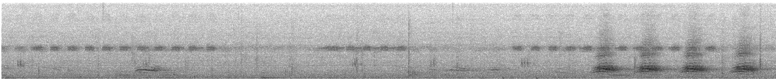 Large-billed Crow - ML609062161
