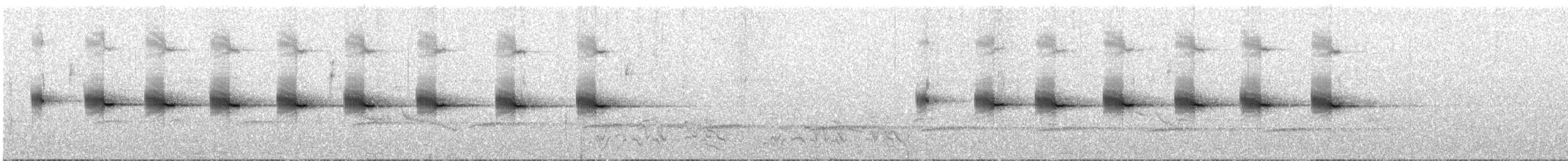 Яванская пестрогрудка (timorensis) - ML609062208