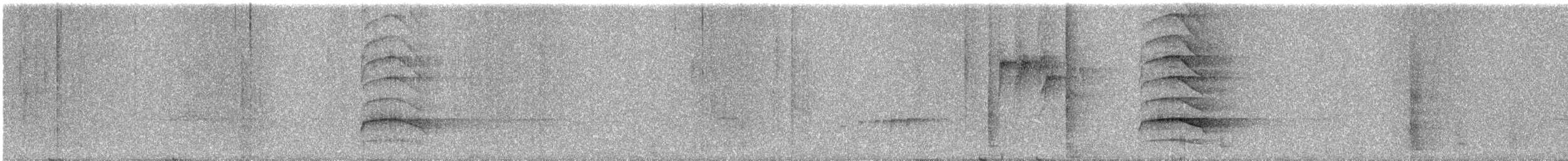Banded Woodpecker - ML609062224