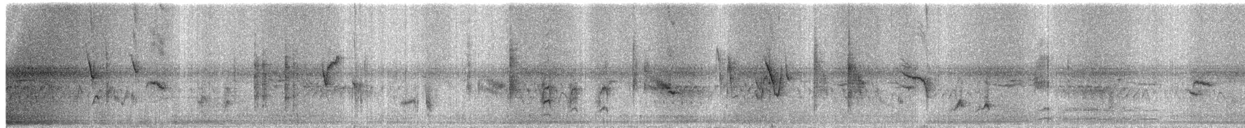 Blunt-winged Warbler - ML609062235