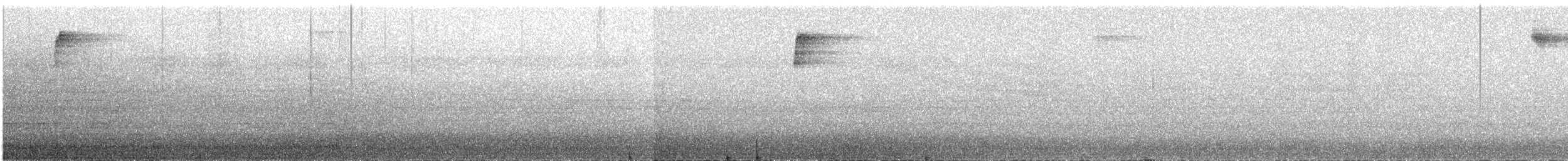 Длинноклювый колибри-отшельник - ML609062337