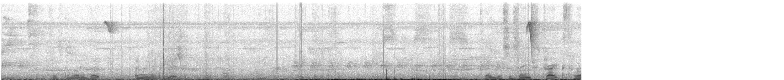 Пестрогорлый колибри-отшельник - ML609062437