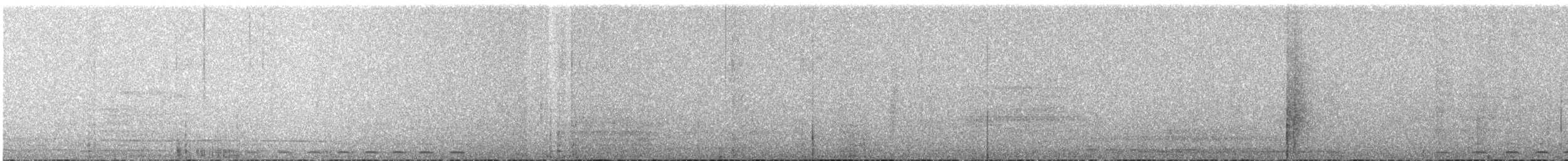 Whiskered Screech-Owl - ML609062491