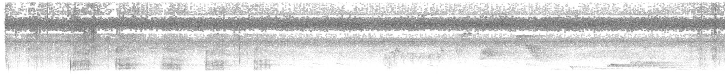 Pied Heron - ML609062812