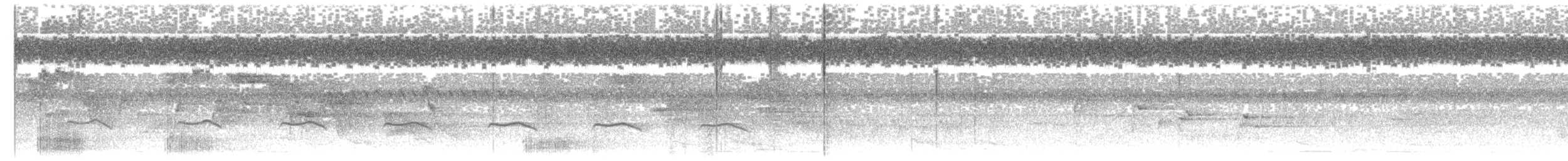 Pied Heron - ML609062813