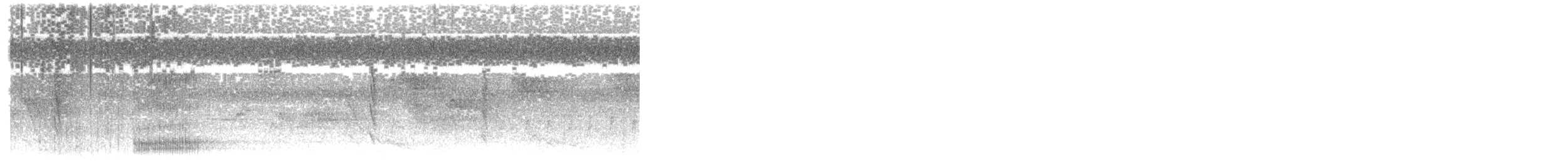 Pied Heron - ML609062814