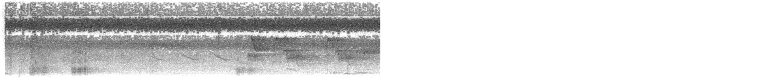 Pied Heron - ML609062816