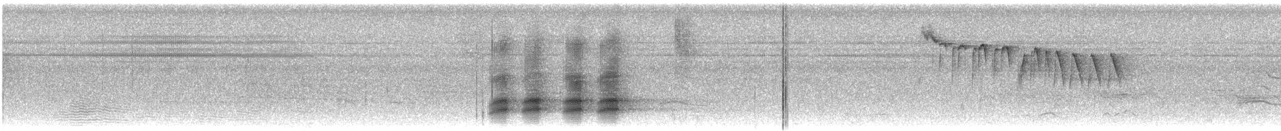 パラワンガラス - ML609062880