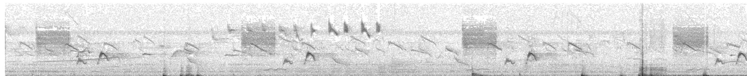 黃頭扇尾鶯 - ML609063016