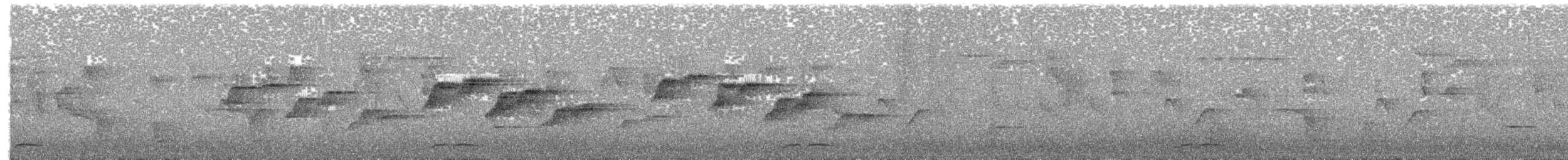 Supertramp Fantail - ML609063118