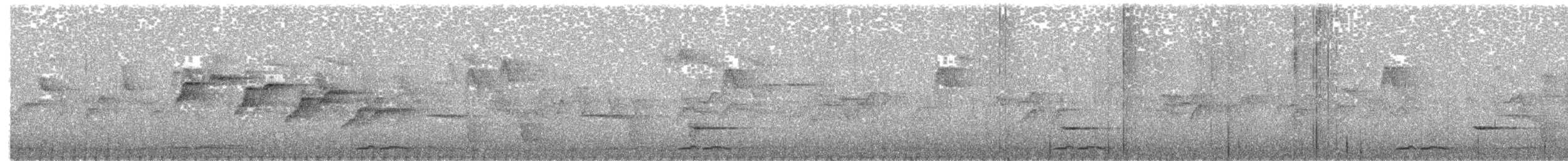 Supertramp Fantail - ML609063119