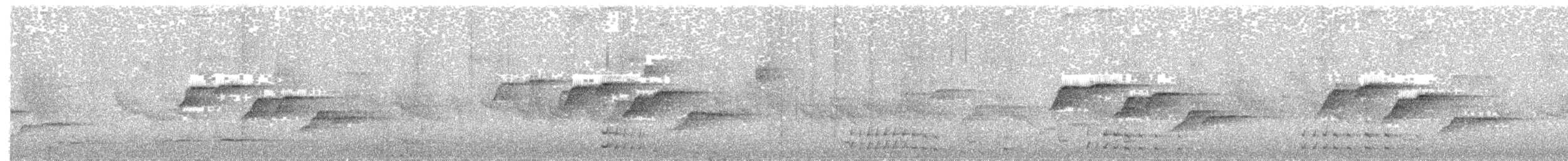 Supertramp Fantail - ML609063120