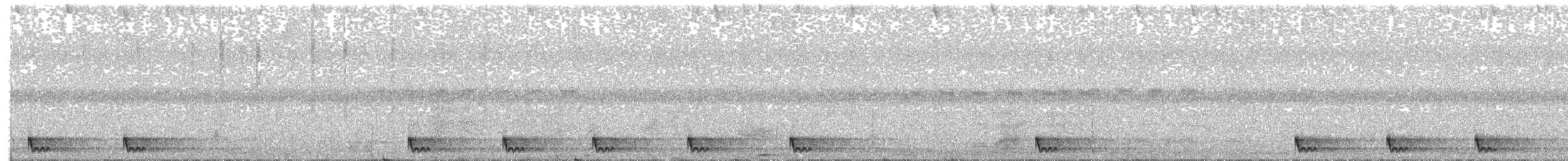 Large-tailed Nightjar - ML609063206