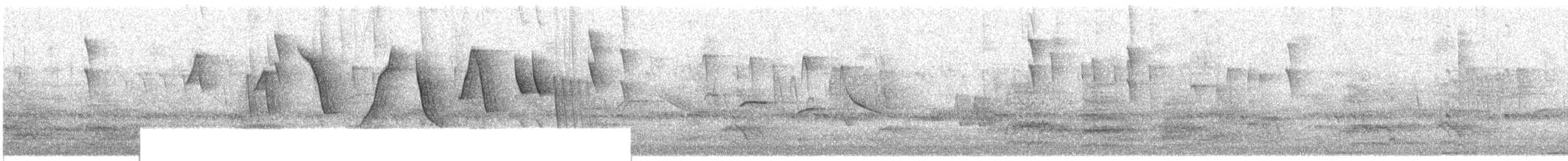 コバシマユシトド（pectoralis） - ML609063406