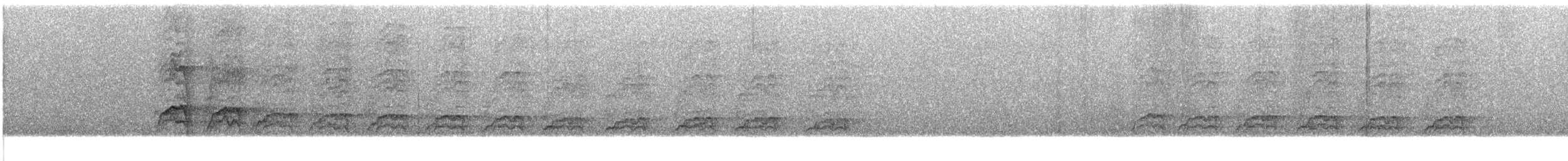 Bar-bellied Cuckooshrike (Philippine) - ML609063452