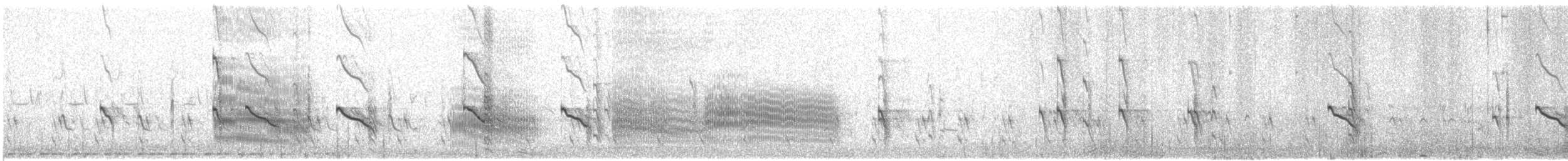 שחפית קוטב - ML609063534