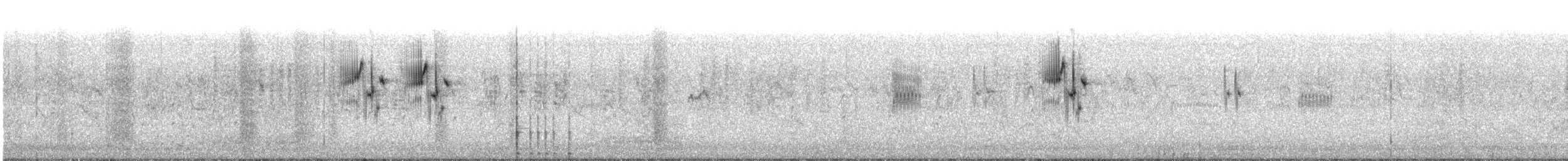 Graceful Prinia - ML609063617