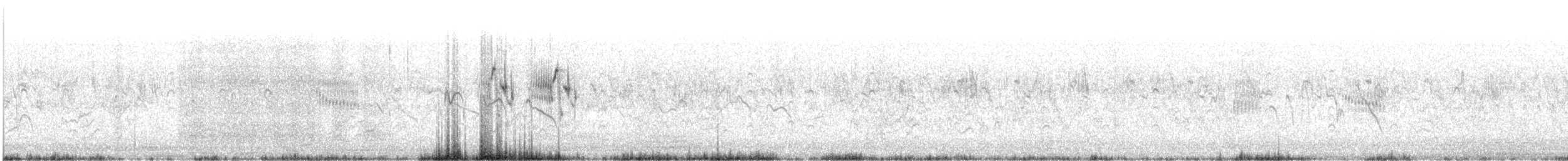 Graceful Prinia - ML609063618