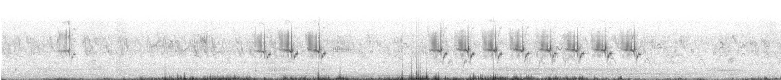 Graceful Prinia - ML609063620