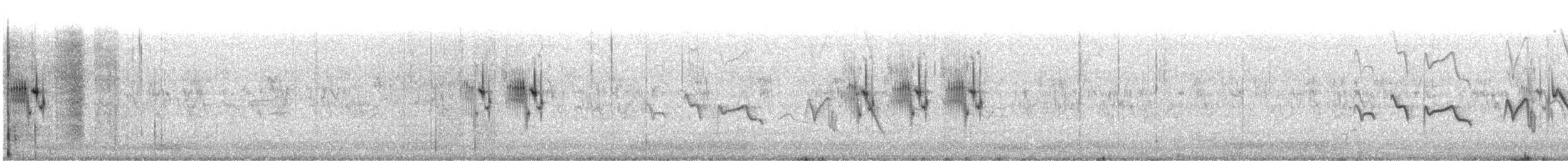 Graceful Prinia - ML609063621