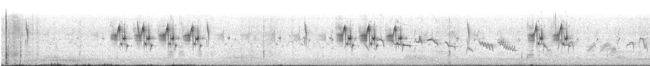 Graceful Prinia - ML609063622