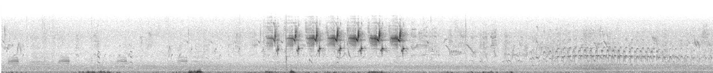 Graceful Prinia - ML609063623