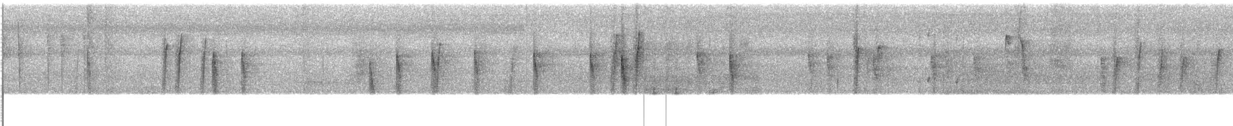 Zwergmistelfresser - ML609063631