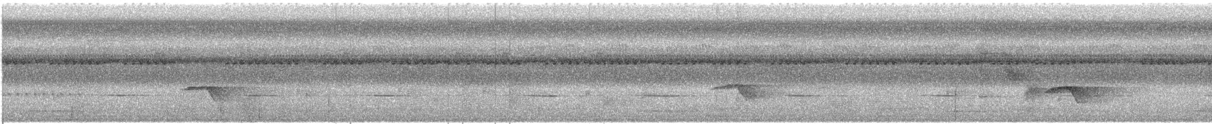 Short-tailed Drongo - ML609063654